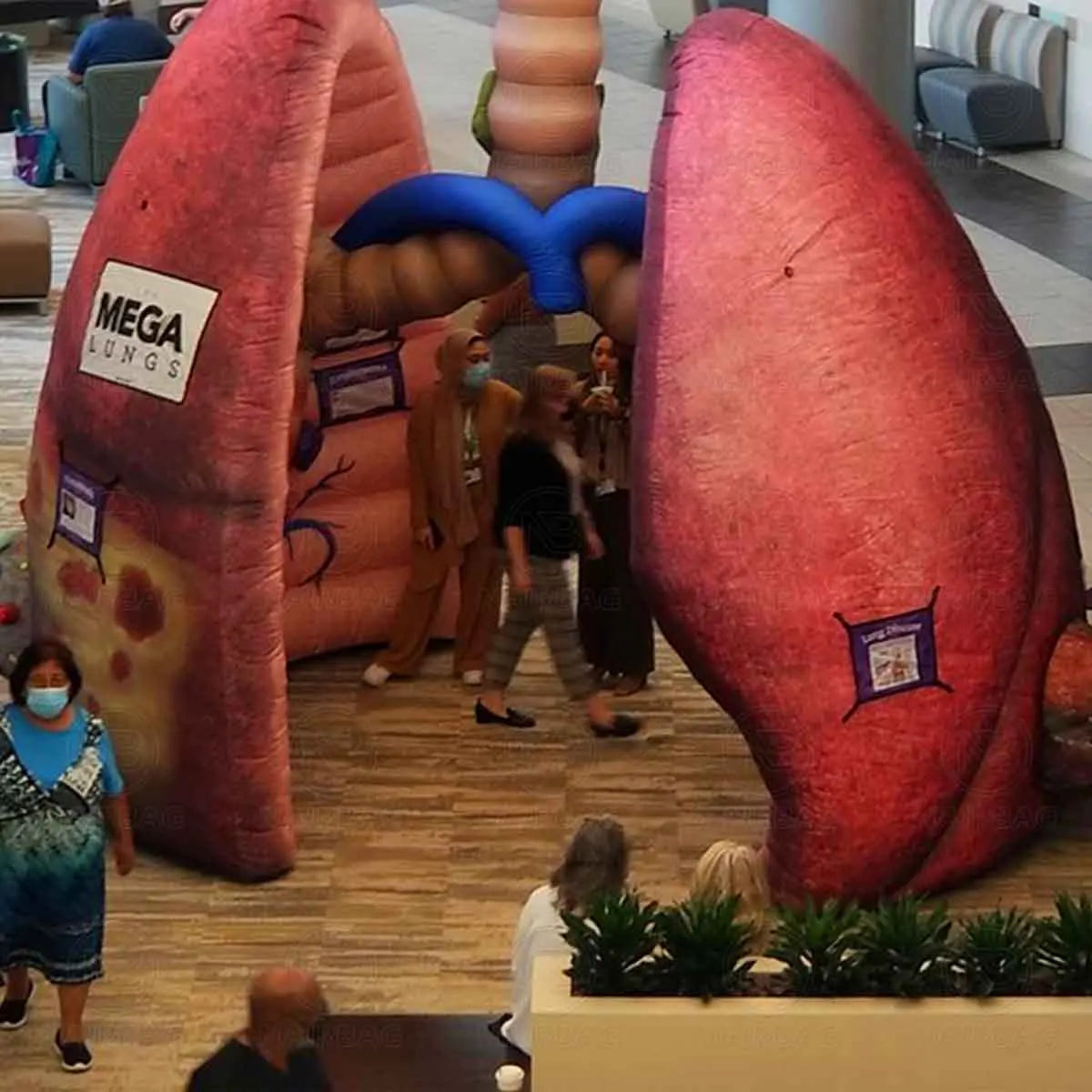 Modèle de poumon gonflable géant pour expositions médicales